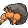 Crabicoque