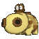 Hippopotas