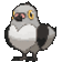Poichigeon