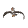 Étouraptor